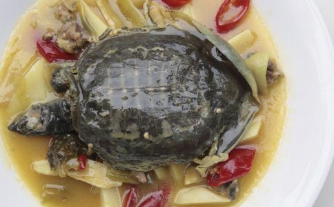 墮胎后能否吃甲魚